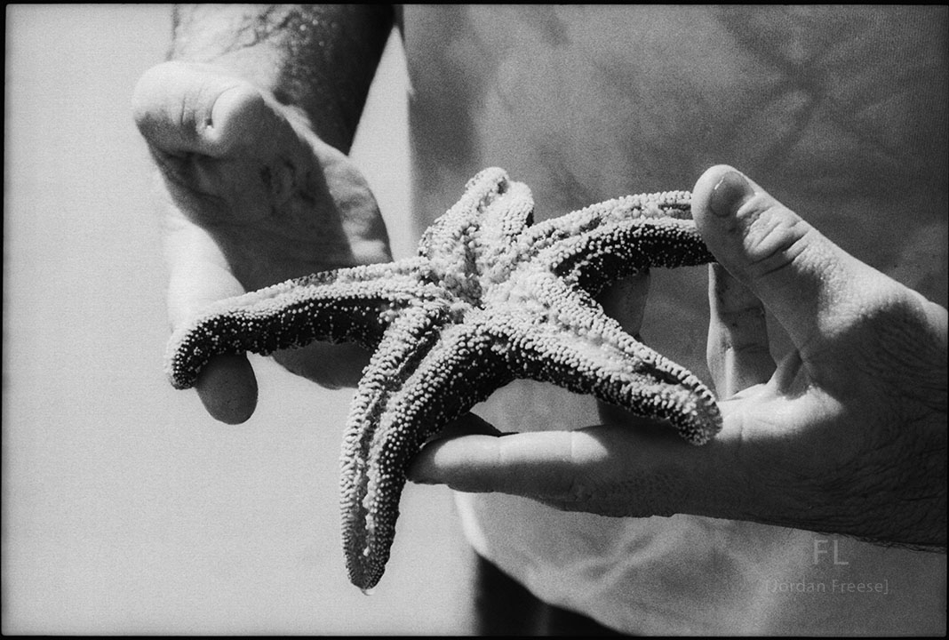 starfish_in_hands_20240907